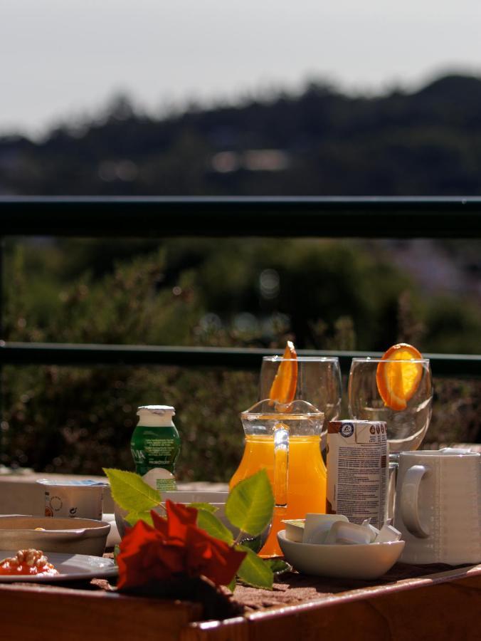 תרמאס דה סאו פדרו דו סול Palace Hotel E Spa Monte Rio מראה חיצוני תמונה