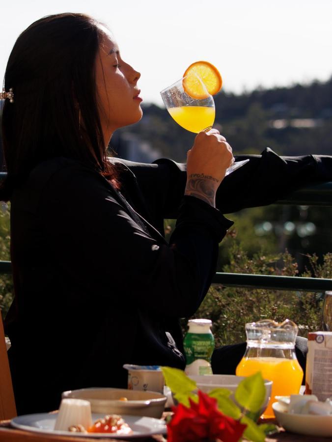 תרמאס דה סאו פדרו דו סול Palace Hotel E Spa Monte Rio מראה חיצוני תמונה